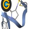 CCDC GOLD Suite 5.3
