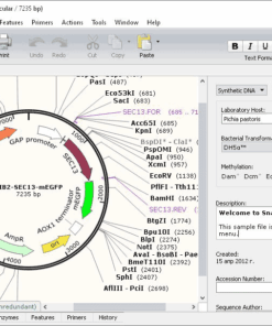 SnapGene 8.0.3