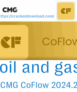 CMG CoFlow 2024.2 oil and gas