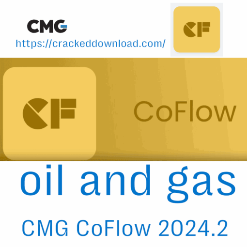 CMG CoFlow 2024.2 oil and gas