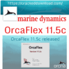 OrcaFlex11.5c _dynamic analysis
