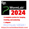 WormLab V2024.1