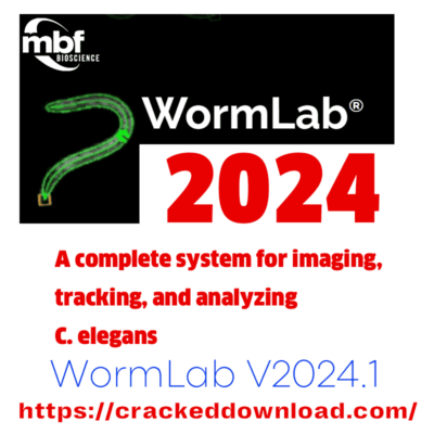 WormLab 2024 Neurobiology Lab WormLab V2024.1 5 WormLab V2024.1