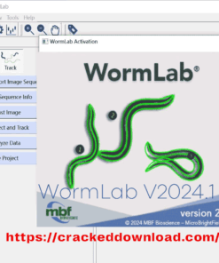 WormLab V2024.1