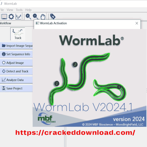 WormLab V2024.1