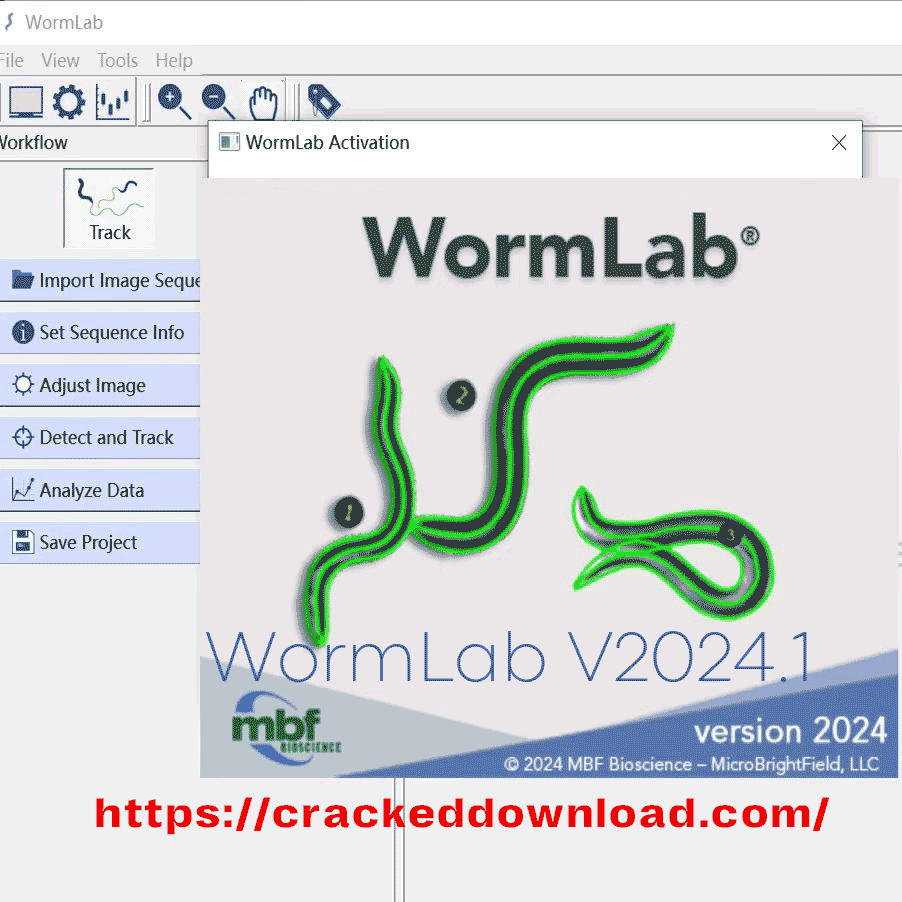 WormLab 2024 Neurobiology Lab WormLab V2024.1 6 WormLab V2024.1