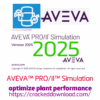 AVEVA PROII Simulation 2025