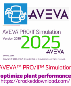 AVEVA PROII Simulation 2025