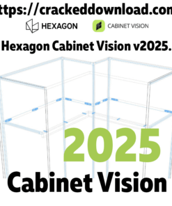 Hexagon Cabinet Vision v2025.1