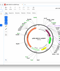 New in SnapGene 8.1