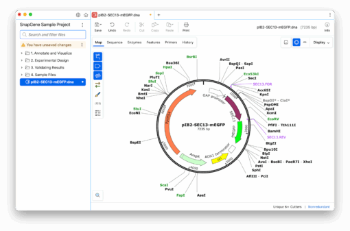 New in SnapGene 8.1