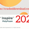 Altair Inspire PolyFoam 2025