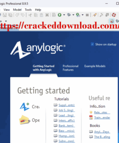 AnyLogic Professional 8.9.5 crack download