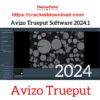 Avizo Trueput Software 2024.1