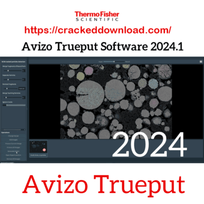 Avizo Trueput Software 2024.1