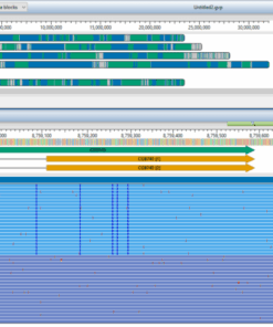 DNASTAR Lasergene v18.0 crack license
