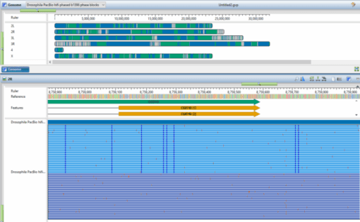 DNASTAR Lasergene v18.0 crack license