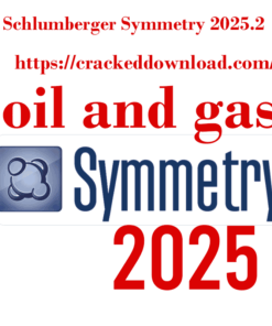 Schlumberger Symmetry 2025.2
