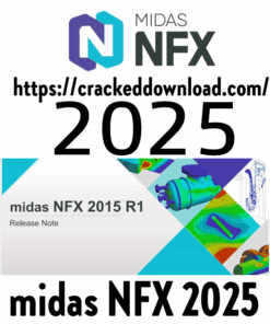 midas NFX 2025