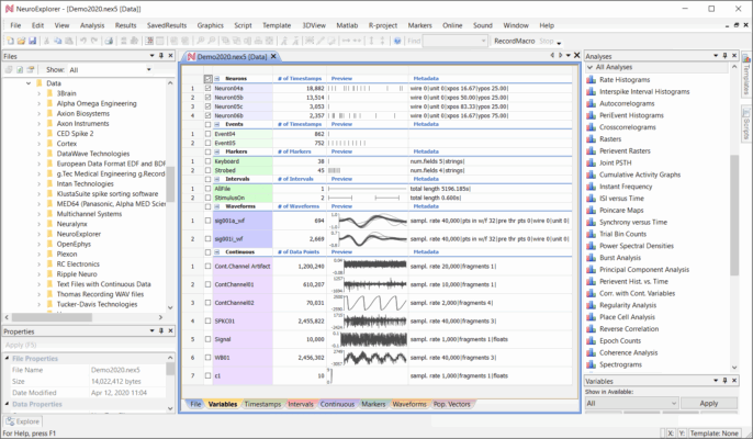 NeuroExplorer 5.4 data analysis program full crack