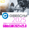 GibbsCAM 2025 v25.0