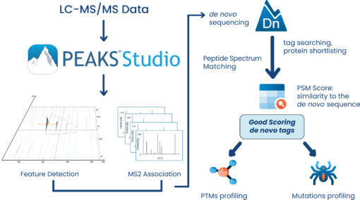 PEAKS Studio 13
