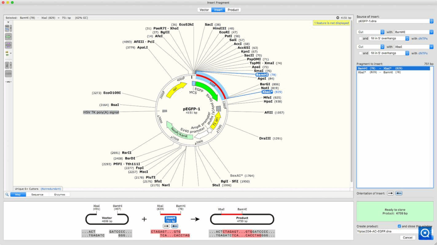 SnapGene 8.1.1 for Windows Advanced DNA Sequence Visualization and Analysis