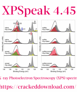 XPSpeak 4.45 software and analyze XPS data