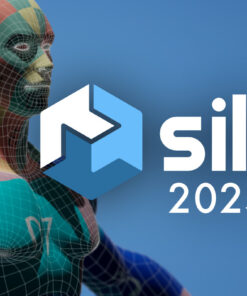 Download Nevercenter Silo PRO 2025