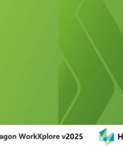 Hexagon WorkXplore 2025.0 license