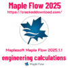 Maplesoft Maple Flow 2025.1.1