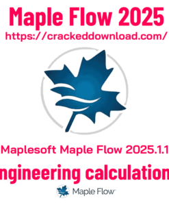 Maplesoft Maple Flow 2025.1.1