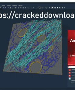 Thermo Fisher Scientific Amira/Avizo 2025.1