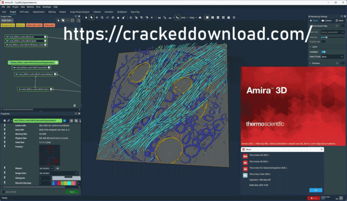 Thermo Fisher Scientific Amira/Avizo 2025.1