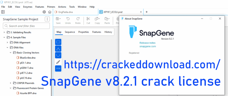 SnapGene v8.2.1 crack license unlimited