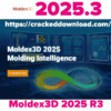 Moldex3D 2025 R3