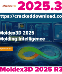 Moldex3D 2025 R3