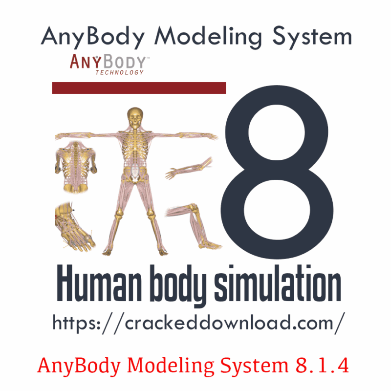 AnyBody Modeling System 8.1.4