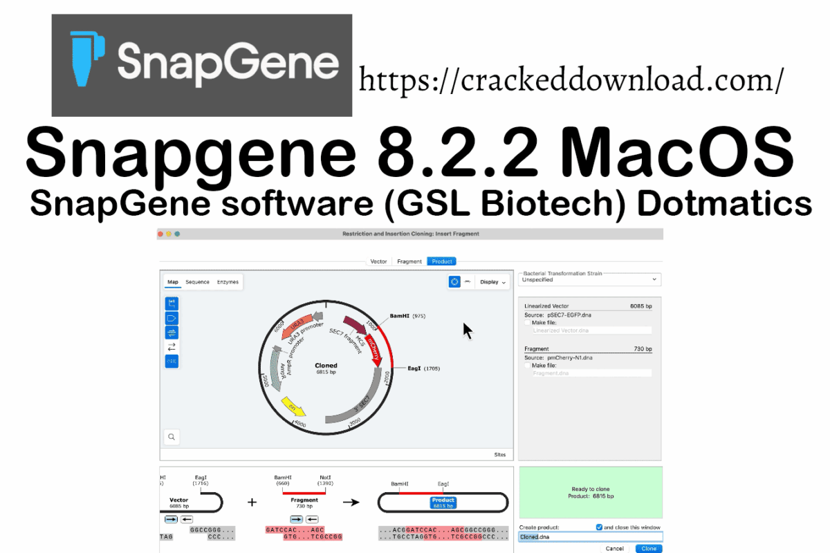 [Image: Download-SnapGene-8.2.2-for-Mac-molecula...00x800.png]