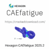Hexagon CAEfatigue 2025.2
