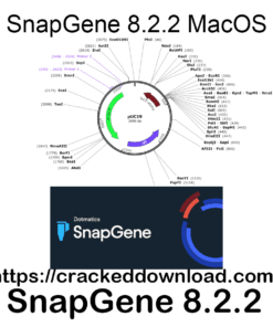 SnapGene 8.2.2