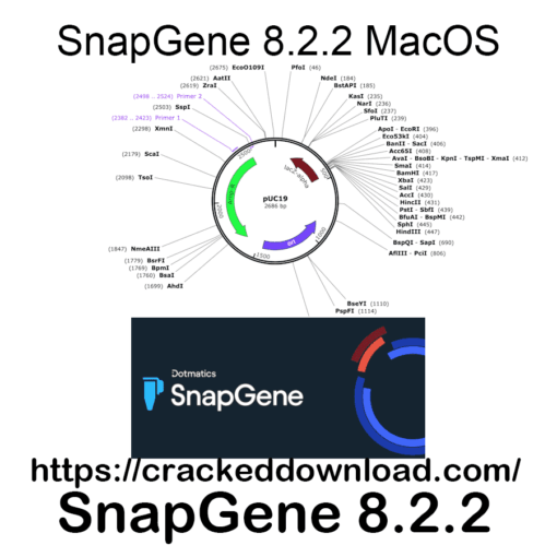SnapGene 8.2.2