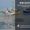 petroleum experts IPM 11.0
