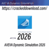 AVEVA Dynamic Simulation 2026 crack download