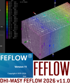 DHI-WASY FEFLOW 2026 v11.0